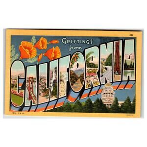 Greetings from California Linen Postcard Curt Teich Golden Gate Capitol